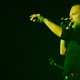 Image for article titled Radiohead is getting in on the weekly streaming series action